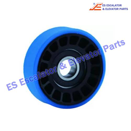 Chain Roller GAA290DC1 76*22mm 6202